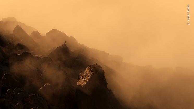 © Lubin Godin, Wildlife Photographer of the Year