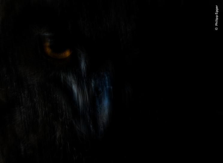 © Philipp Egger, Wildlife Photographer of the Year
