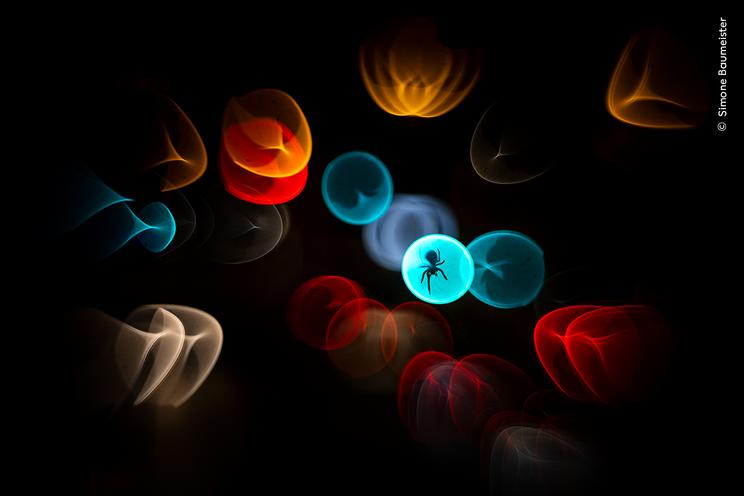 © Simone Baumeister, Wildlife Photographer of the Year
