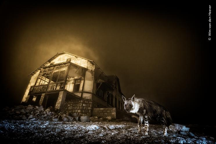 Wim van den Heever, Wildlife Photographer of the Year