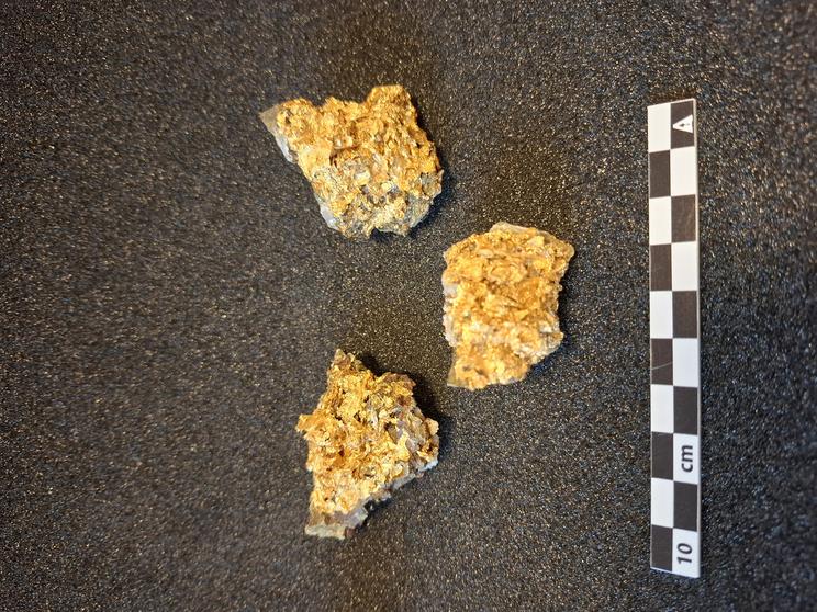 Guld fra Roșia Montană i Rumænien, Statens Naturhistoriske Museum