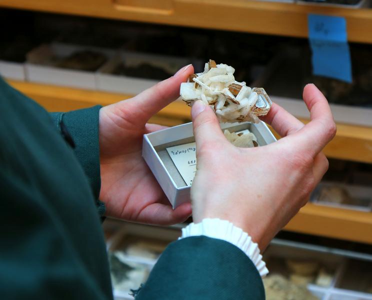 Mineralsamlingen
