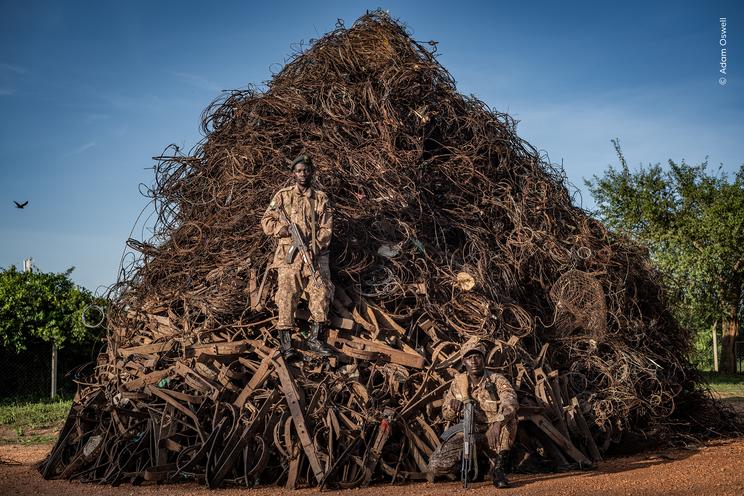Adam Oswell, Wildlife Photographer of the Year