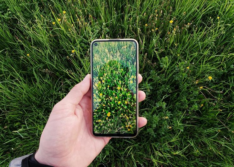 Person tager billeder af natur med telefon
