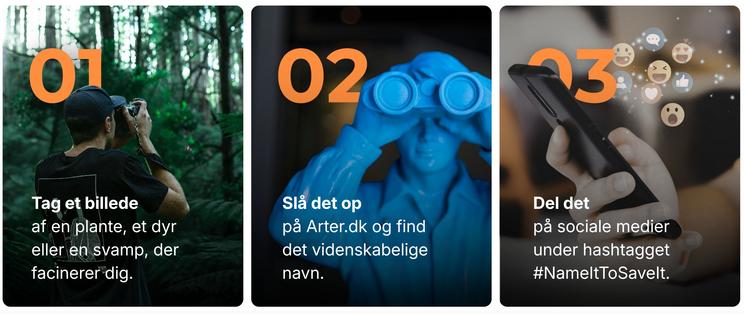 Guide til at være en del af Naturens Navnedag