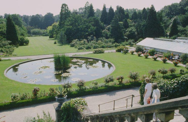 The Botanical Garden in 1985