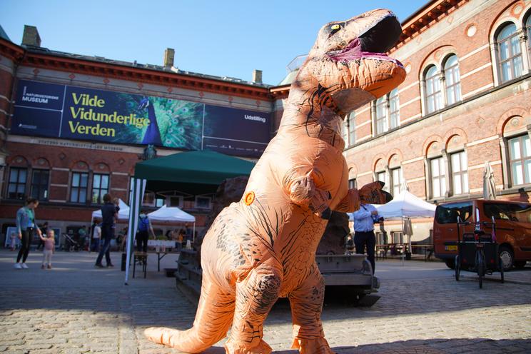 Dinosaur