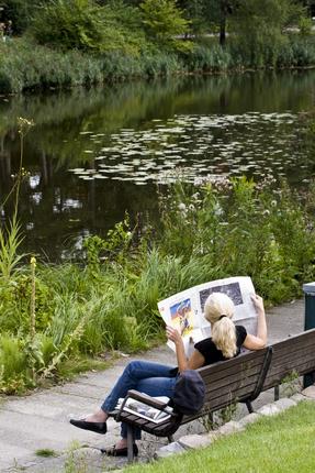 Avislæser på en bænk i Botanisk Have