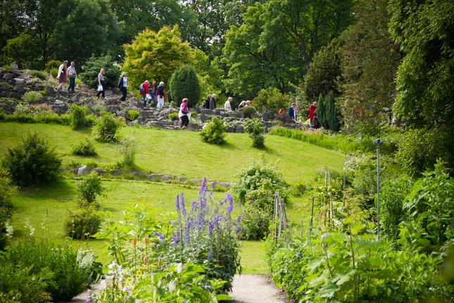 Gæster på Steenhøjen i Botanisk Have