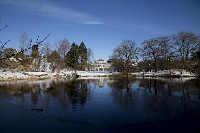 Palmehuset i vintelandskab, med den frosne sø i forgrunden