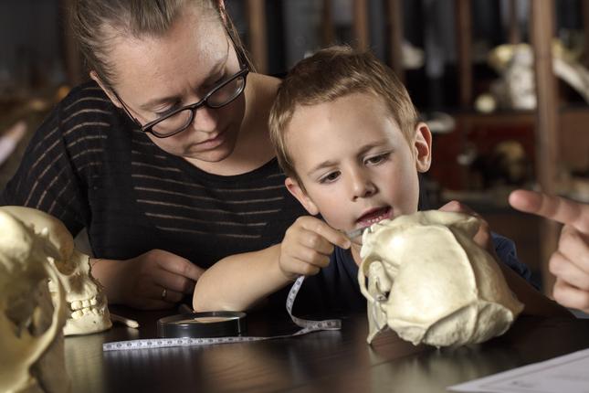 Zoologisk Museum er lukket