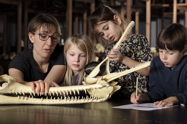 Zoologisk Museum er lukket