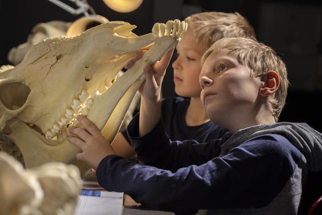 Zoologisk Museum er lukket