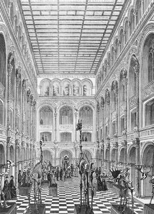 Zoologisk Museum 1868