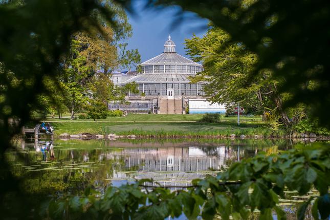 Palmehuset i Botanisk Have