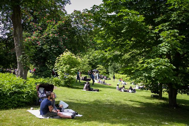 Gæster slapper af på plænen i Botanisk Have, København