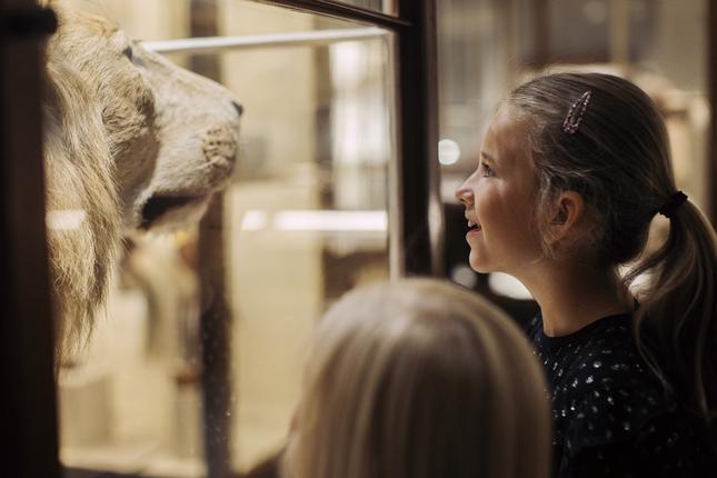 Pige kigger på udstoppet løve