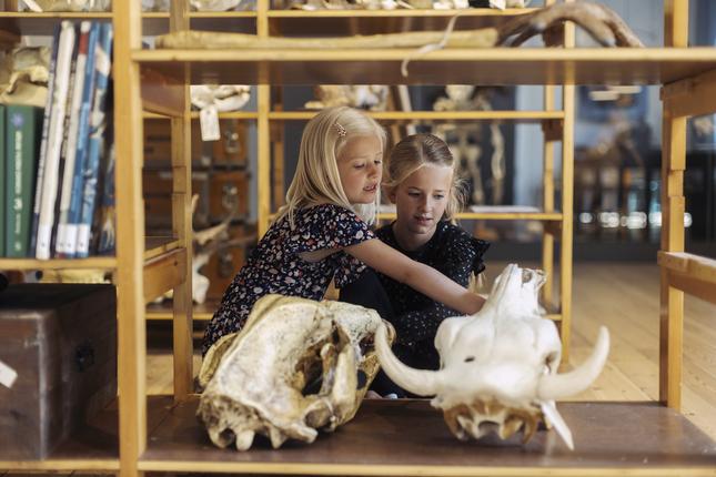 Piger i Naturhistorisk værksted