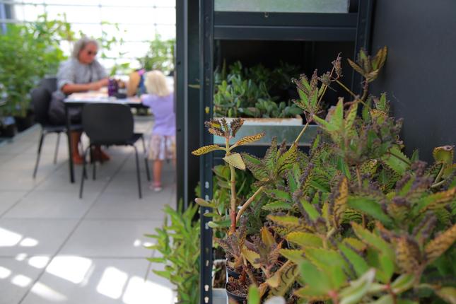 Publikum til Botanisk Haves 150års jubilæumsaktiviteter i formidlingsvæksthuset