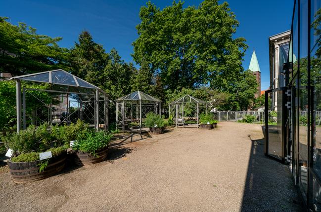 Væksthuset i Botanisk Have