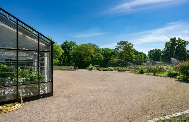 Væksthuset i Botanisk Have