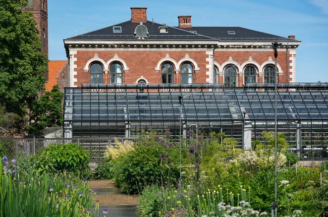 Væksthuset i Botanisk Have