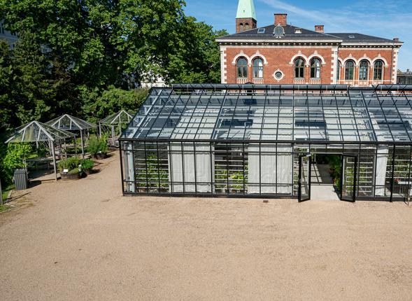 Væksthuset i Botanisk Have