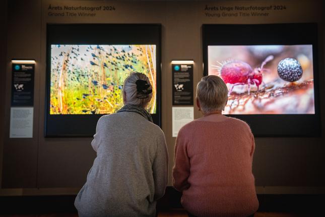 Personer i Wildlife Photographer of the Year udstillingen