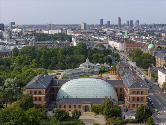 Det nye museum