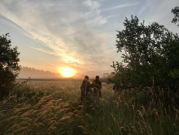 Solopgang over vestamager