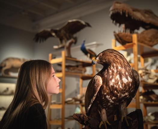 Barn i Naturhistorisk værksted