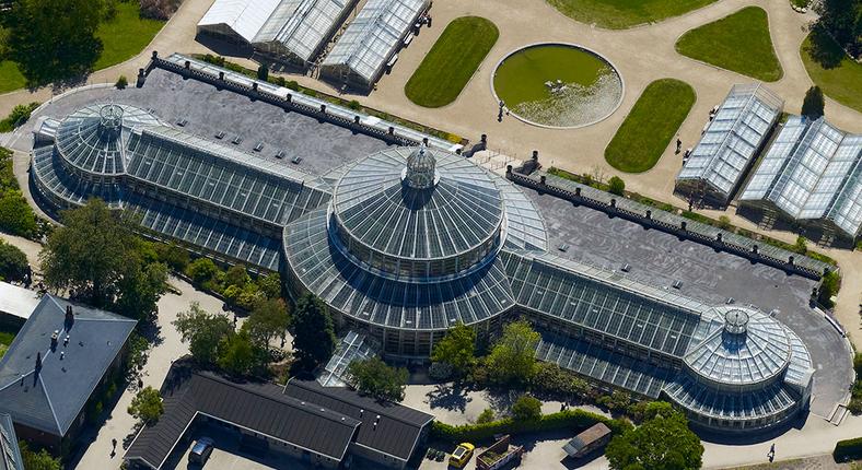 Palmehusets Terrasse Statens Naturhistoriske Museum