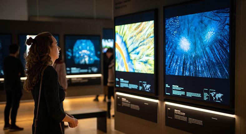 Private View Statens Naturhistoriske Museum