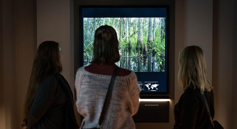 Private View Statens Naturhistoriske Museum