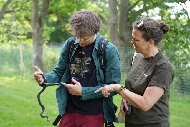 Bioblitz i Fussingø Naturnationalpark