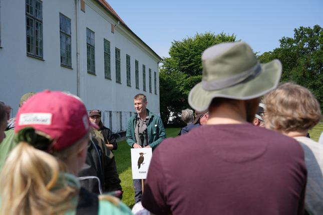 Bioblitz i Fussingø Naturnationalpark