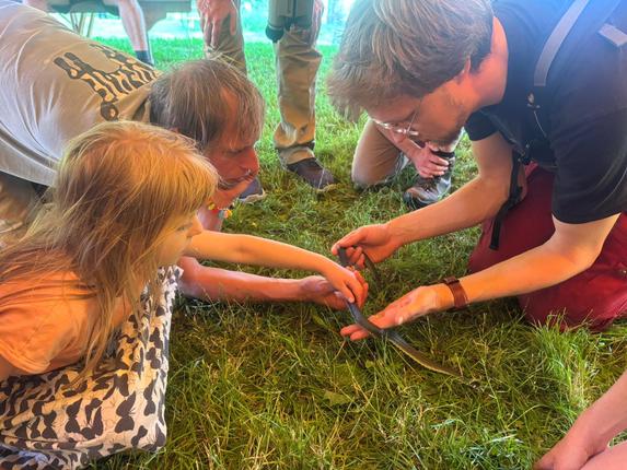 Bioblitz i Fussingø Naturnationalpark