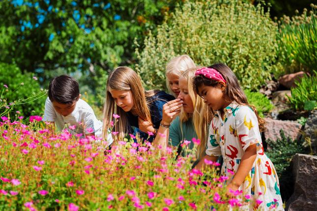 Børn med formidler i Botanisk Have