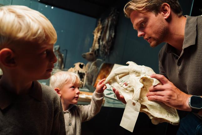 FossilFestival