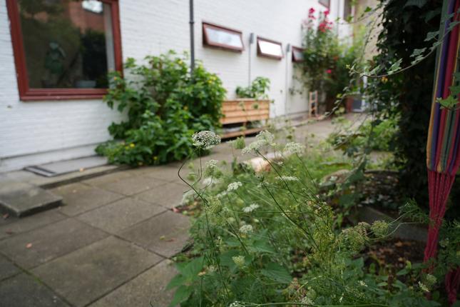 Plads til liv-område