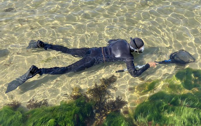 Snorkling