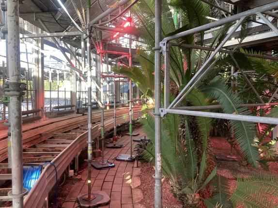 Stillads i Palmehuset