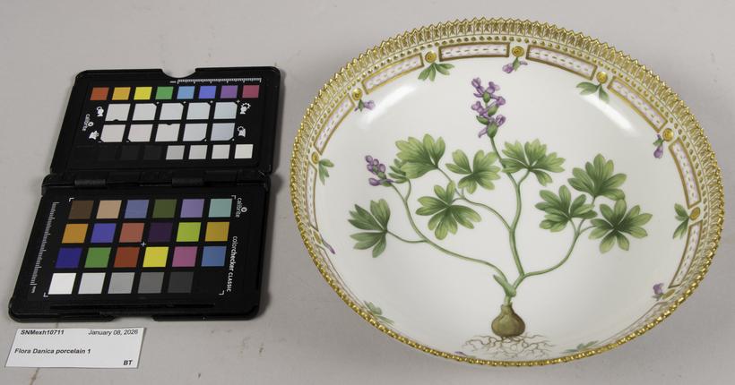 Porcelænstallerken med liden lærkespore fra Den Kongelige Porcelænsfabrik