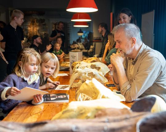 FossilFestival 2025
