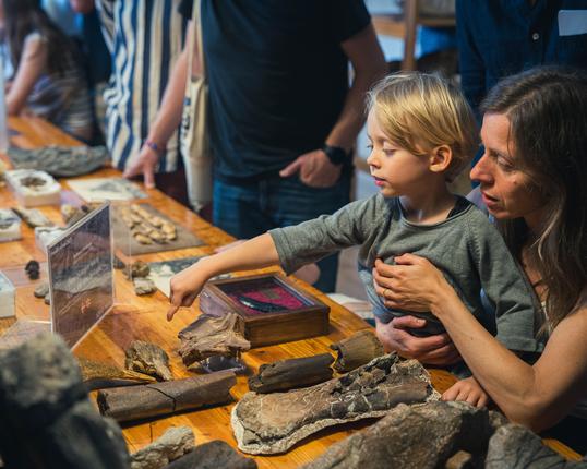 FossilFestival 2025