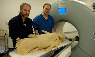 Peter Rask Møller og Henrik Lauridsen med coelacanthen ved CT-scanneren