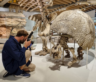 Konservator Mikkel Høgh Post i gang med at fotografere og registrere den store Glyptodon