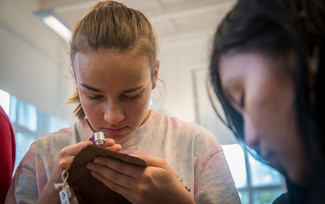 Gymnasielever hjælper med forskning