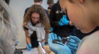 Gymnasielever hjælper med forskning