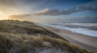 Tommy Hjortkær Hansen med billedet Blæs mig i gang. Lokalitet: Spidsbjerg Strand syd for Thorsminde